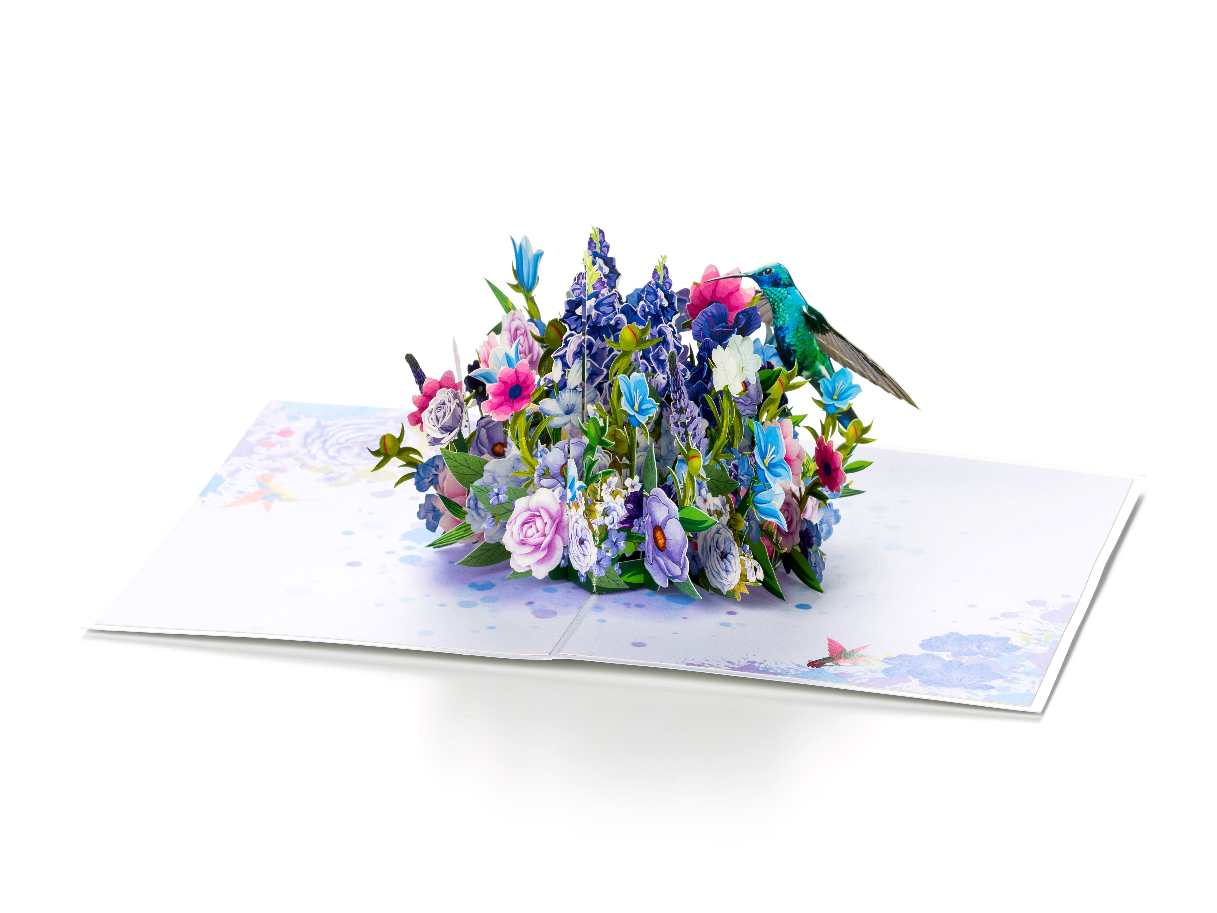 Pop Up-kort - Kolibri