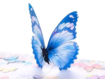 Pop Up Karte - Schmetterling