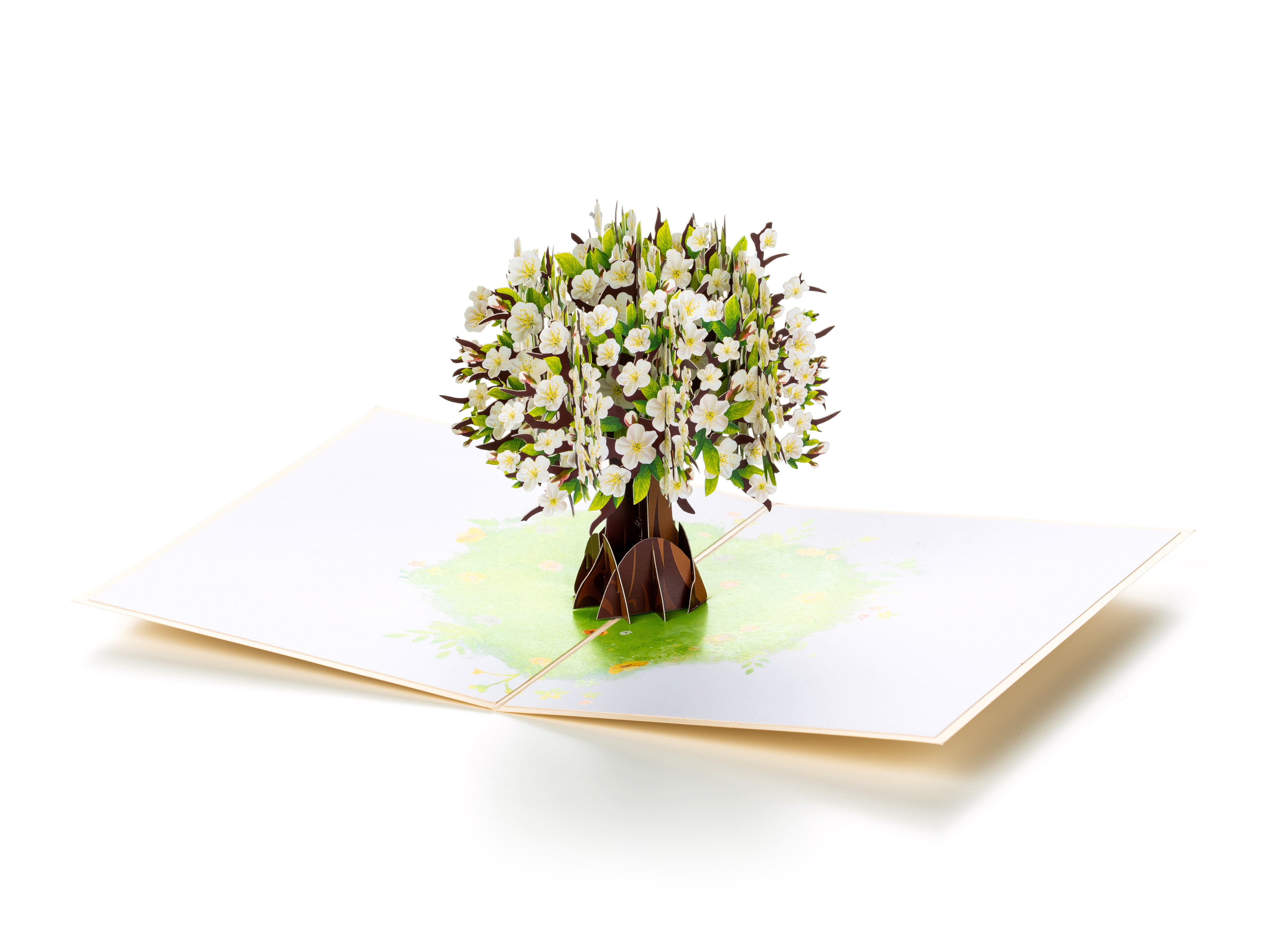 Pop Up-kort - Kirsebærtræ