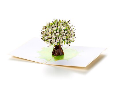 Pop Up -kortti - Kirsikkapuu