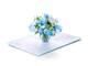 Pop Up -kortti - Maljakko sinisellä hortensialla