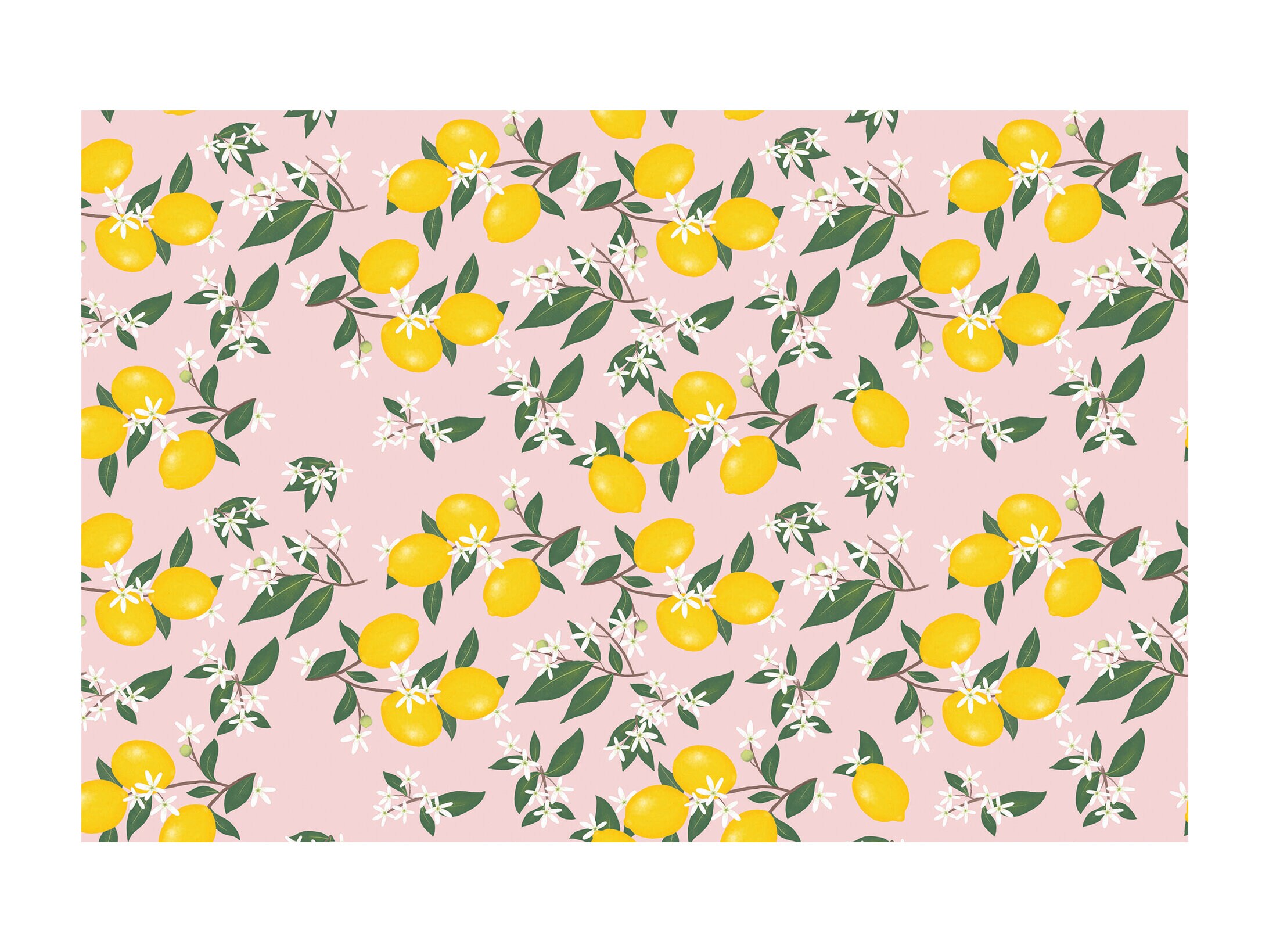 Lahjapaperi - Sitruunat