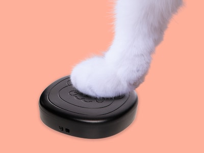 Pet Doorbell
