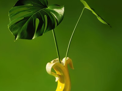 Vase Banan