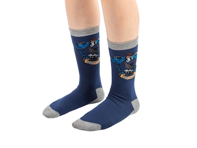 Harry Potter strumpor - Ravenclaw