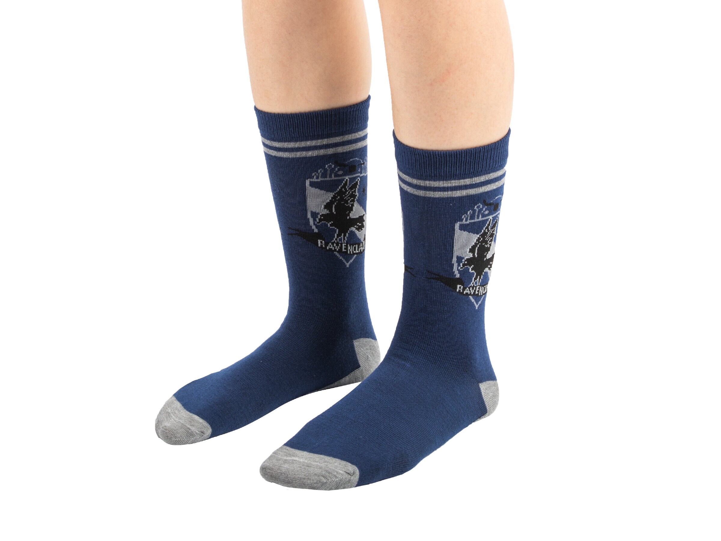 Harry Potter -sukista - Ravenclaw