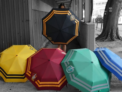Harry Potter-paraply - Smygard