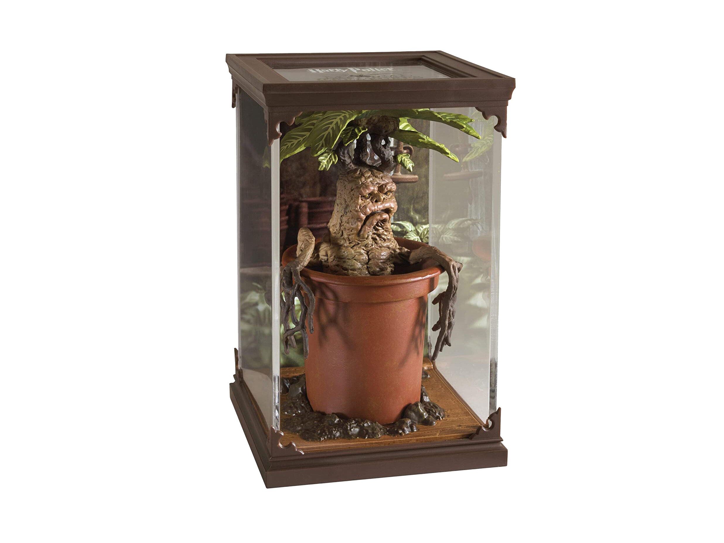 Fantastic Beasts - Mandragora