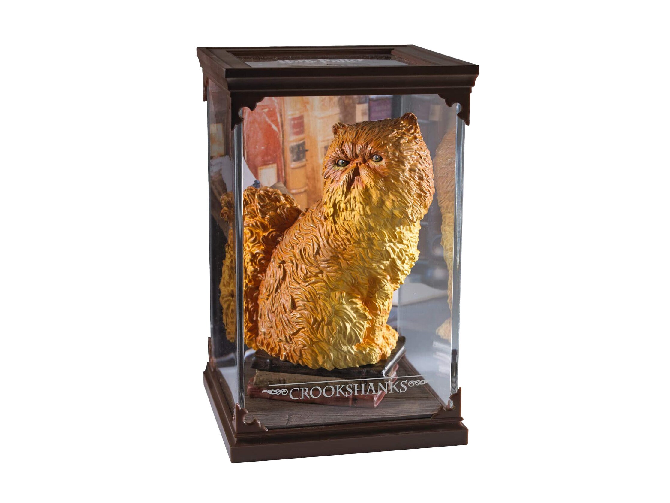 Fantastic Beasts - Crookshanks