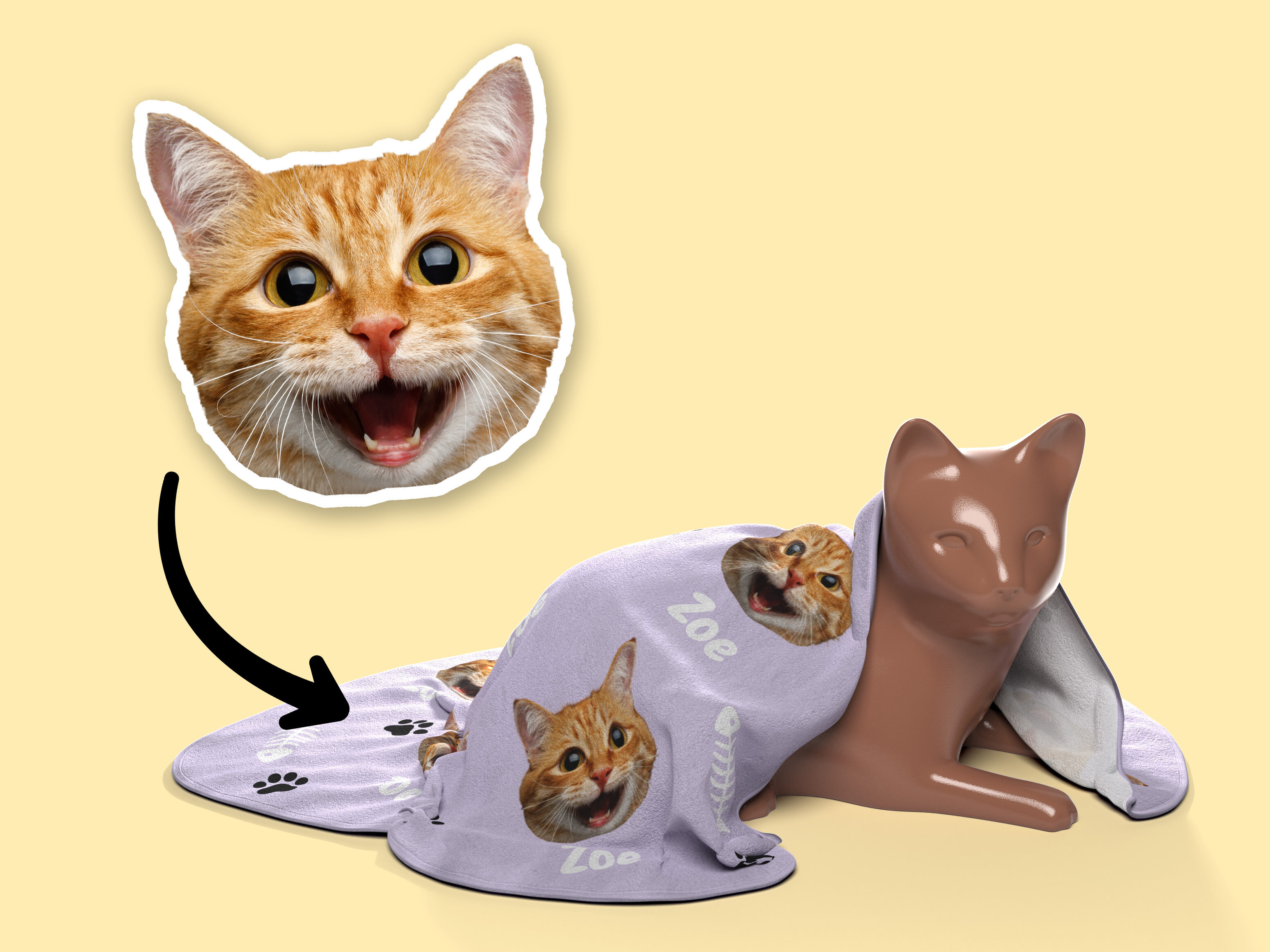 Personlig Kattfilt med Namn & Foto