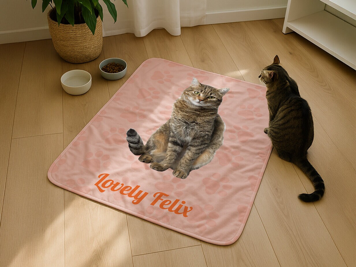 Lemmikin viltti omalla kuvalla