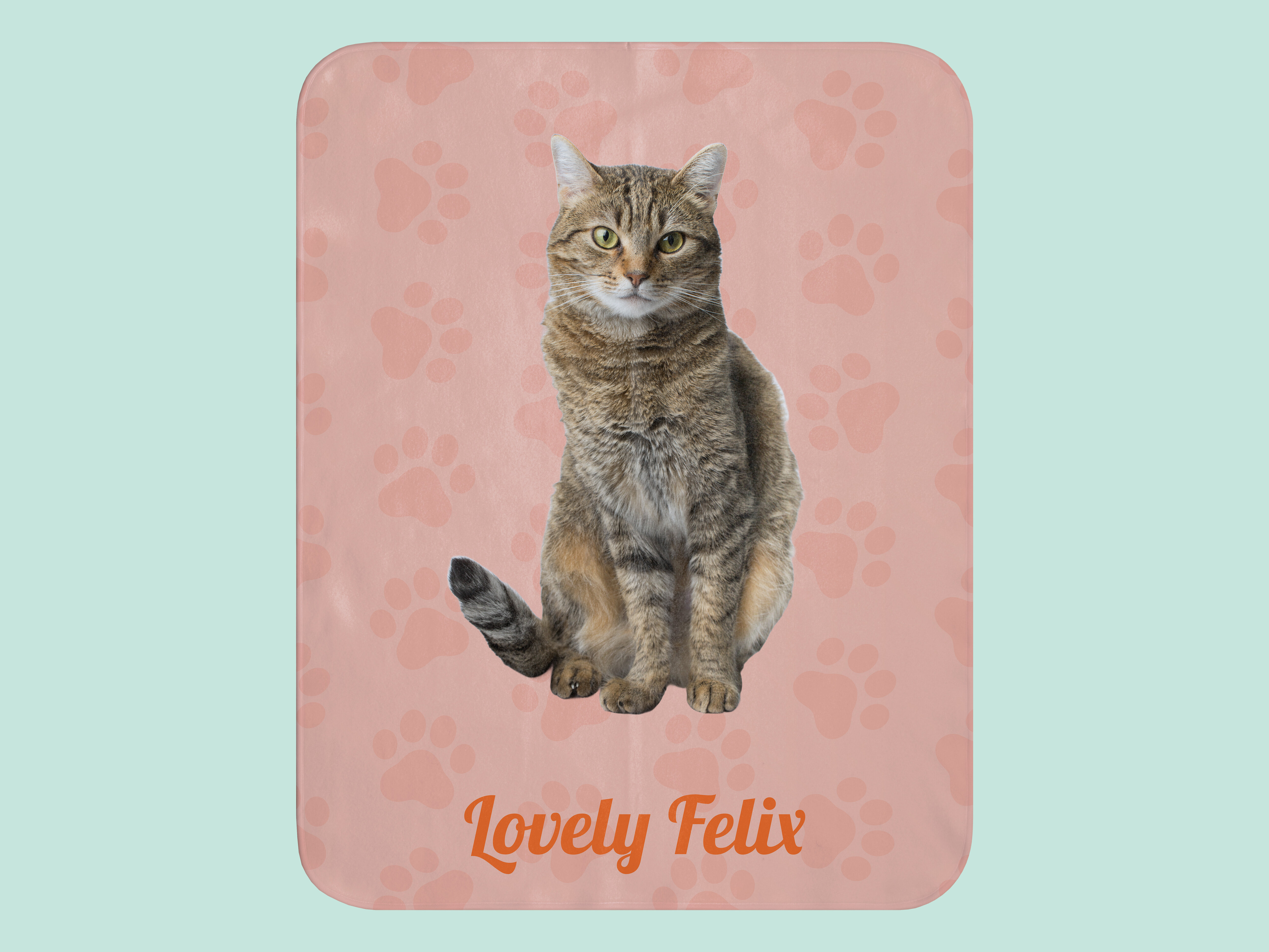 Lemmikin viltti omalla kuvalla