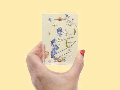 Kukkaprässi Ängsfälla Pieni