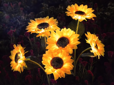 Solcellelampe Solsikke