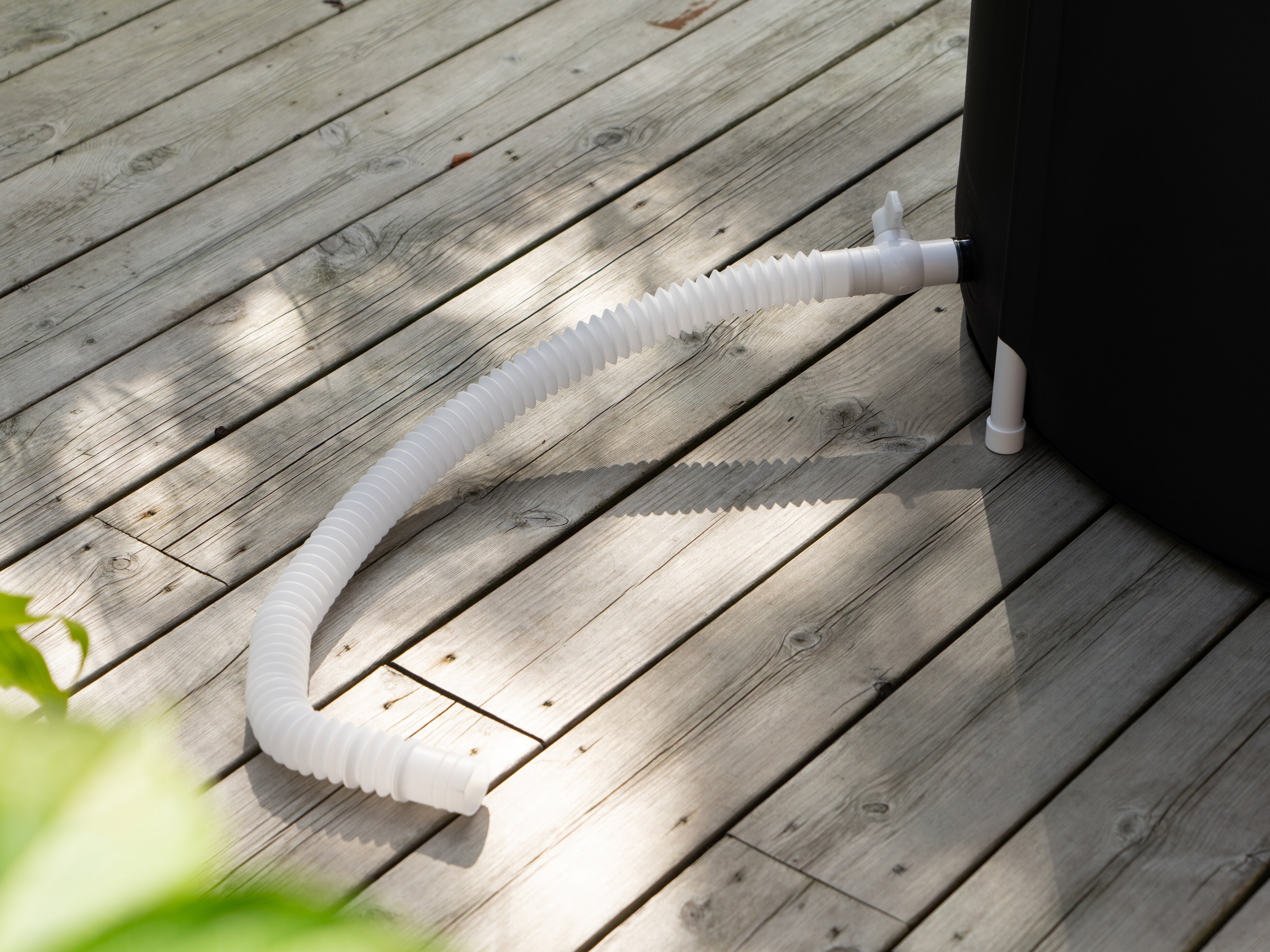 Jääkylpy - Zenkuru