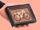 Schokoladenbox Fahrrad