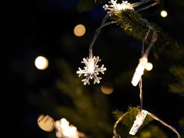 Lichterkette Schneeflocken 3m