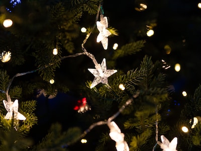 Lichterkette Sterne 3m