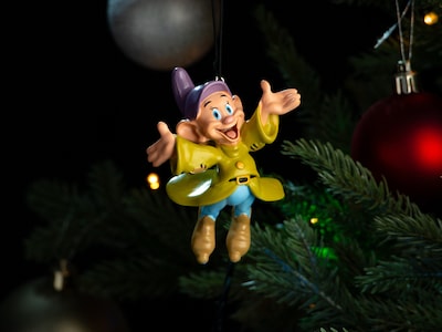 Julgranspynt Toker