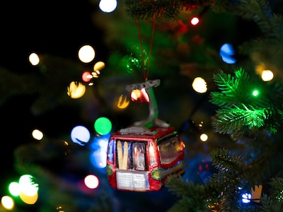 Julgranspynt Skidlift