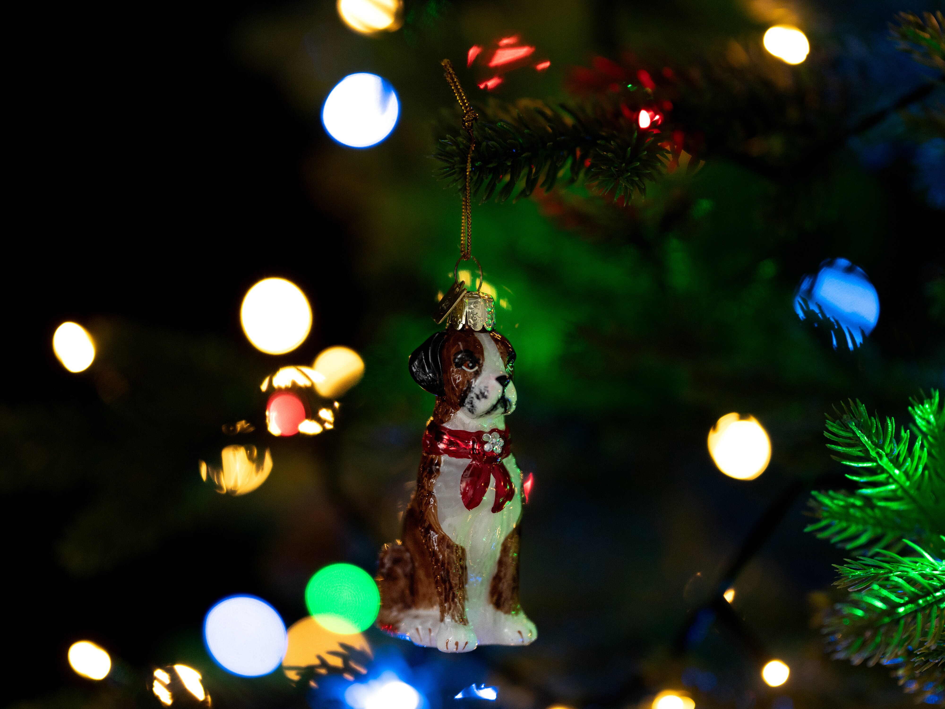 Weihnachtsbaumschmuck Boxer