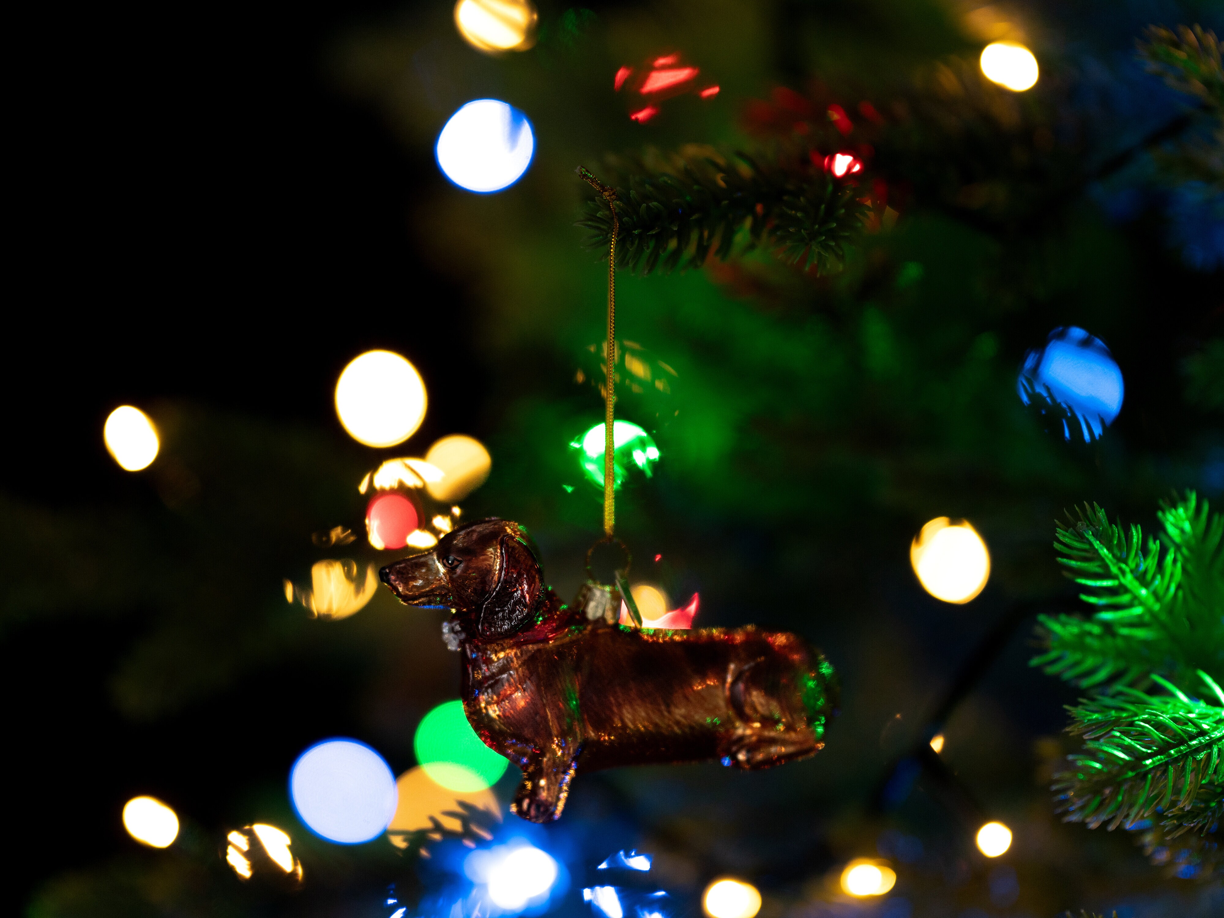 Joulukuusenkoriste Mäyräkoira