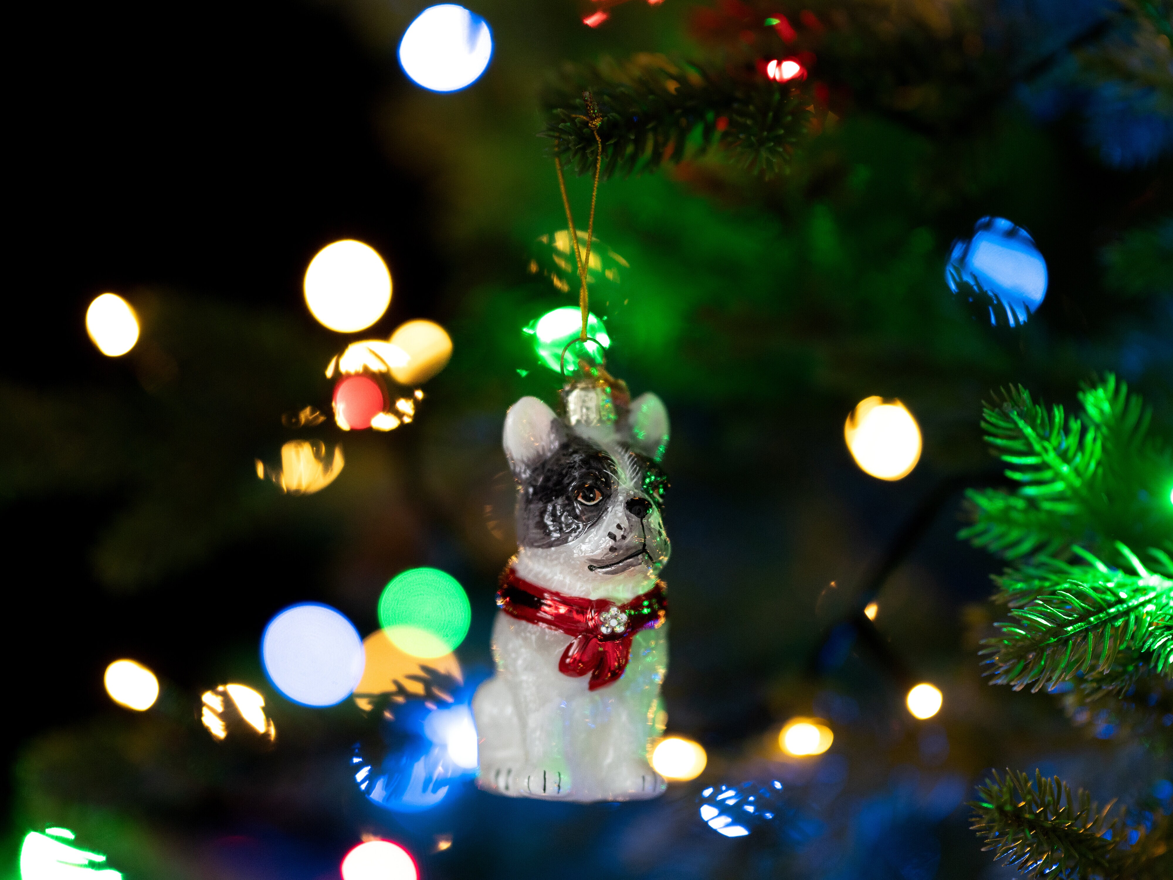 Joulukuusenkoriste Ranskanbulldoggi