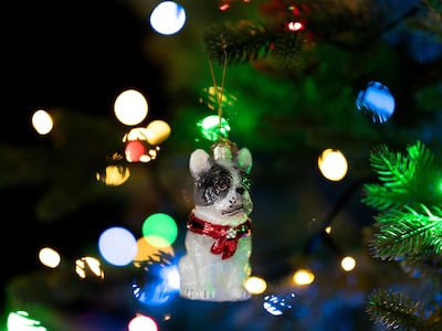 Weihnachtsbaumschmuck Französische Bulldogge