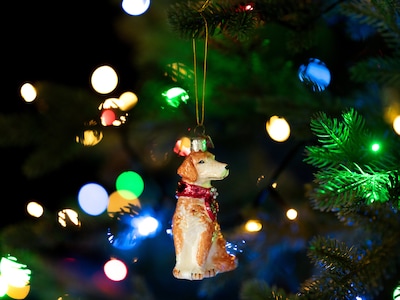 Weihnachtsbaumschmuck Golden Retriever