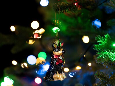 Weihnachtsbaumschmuck Schäferhund