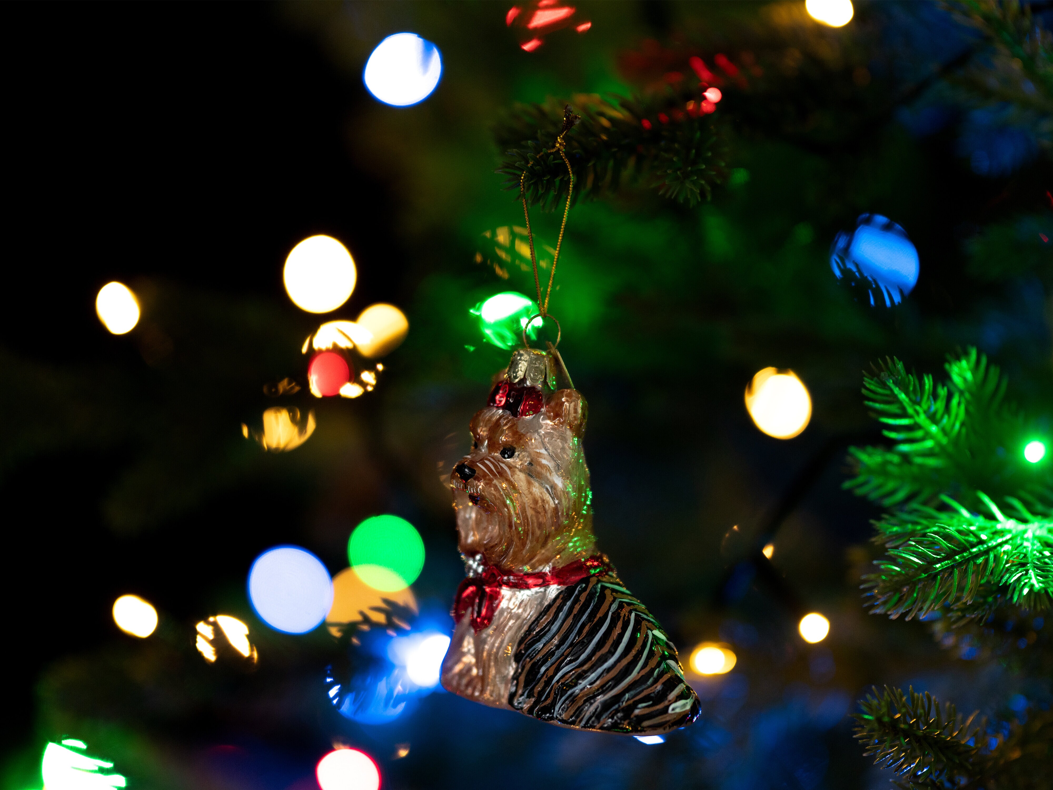 Juletrepynt Yorkshireterrier