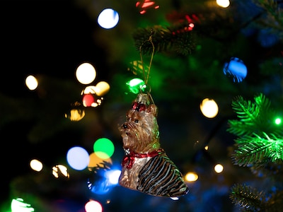 Juletræspynt Yorkshireterrier