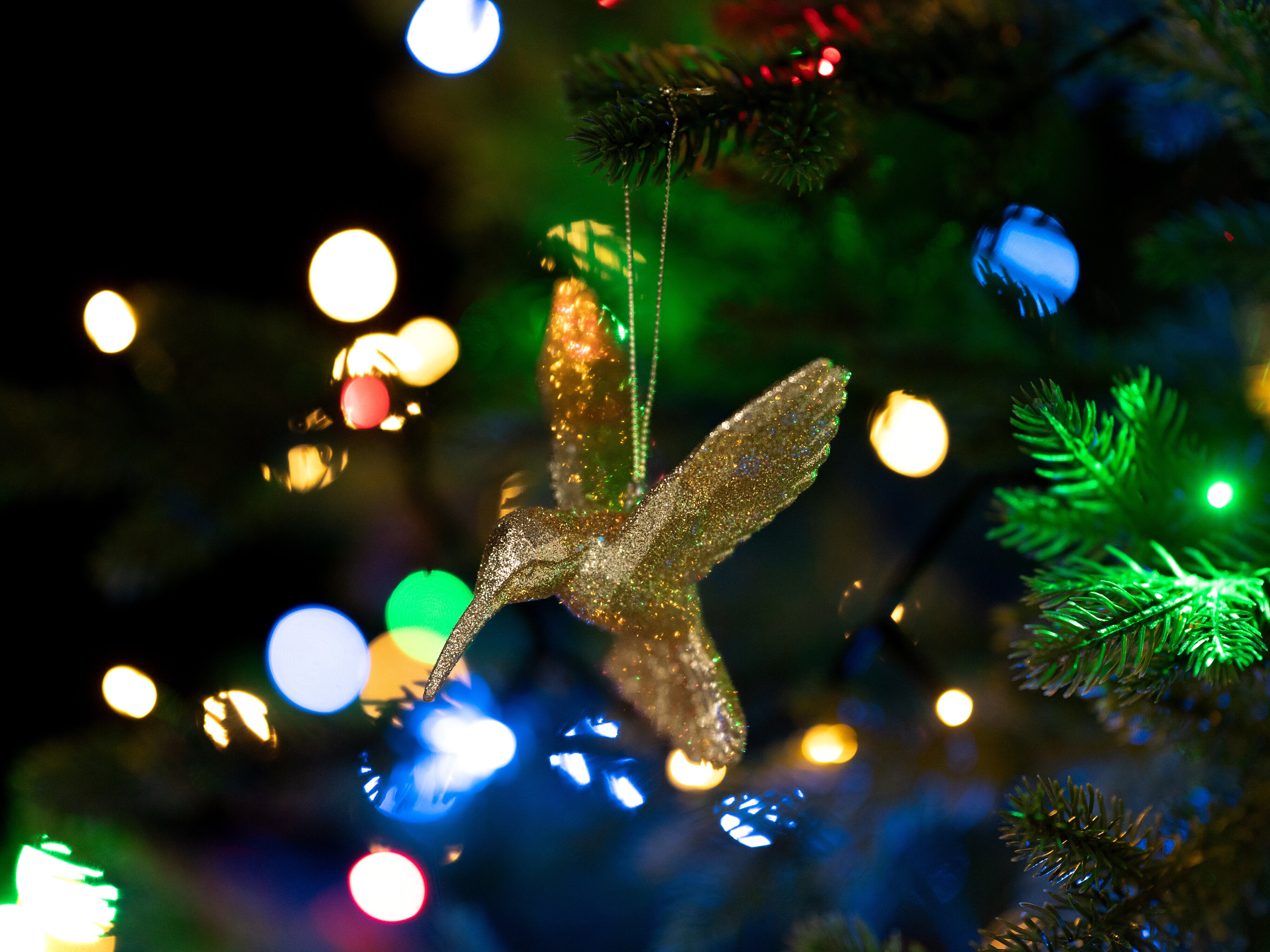 Julgranspynt Kolibri i Guld