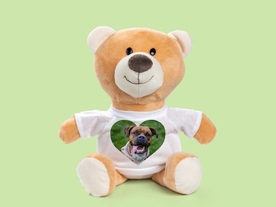 Persönliches Kuscheltier mit Fotoherz