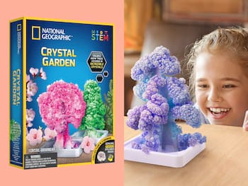 National Geographic Crystal Garden