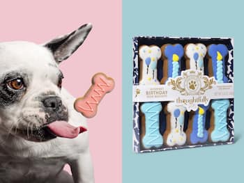 Geburtstagskuchen für Hunde - Thoughtfully
