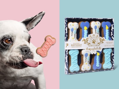 Födelsedagskakor till Hund - Thoughtfully