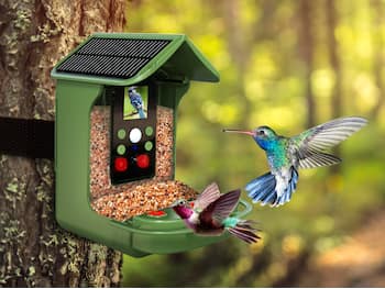 Fuglemater med Kamera Denver BFC-1200