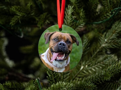 Personligt Julgranspynt med Foto