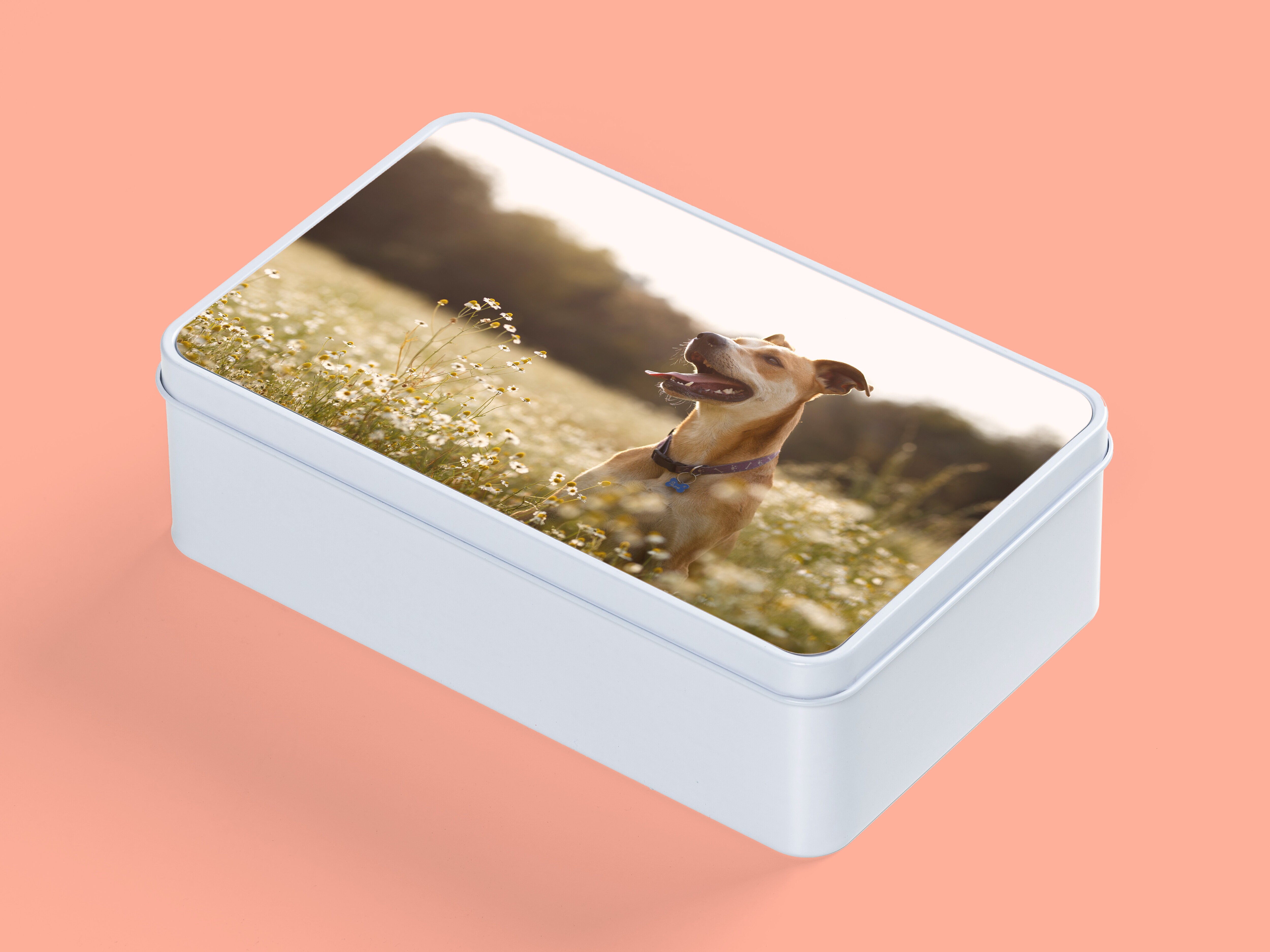 Personlig oppbevaringsboks i metall med bilde - Rektangulær