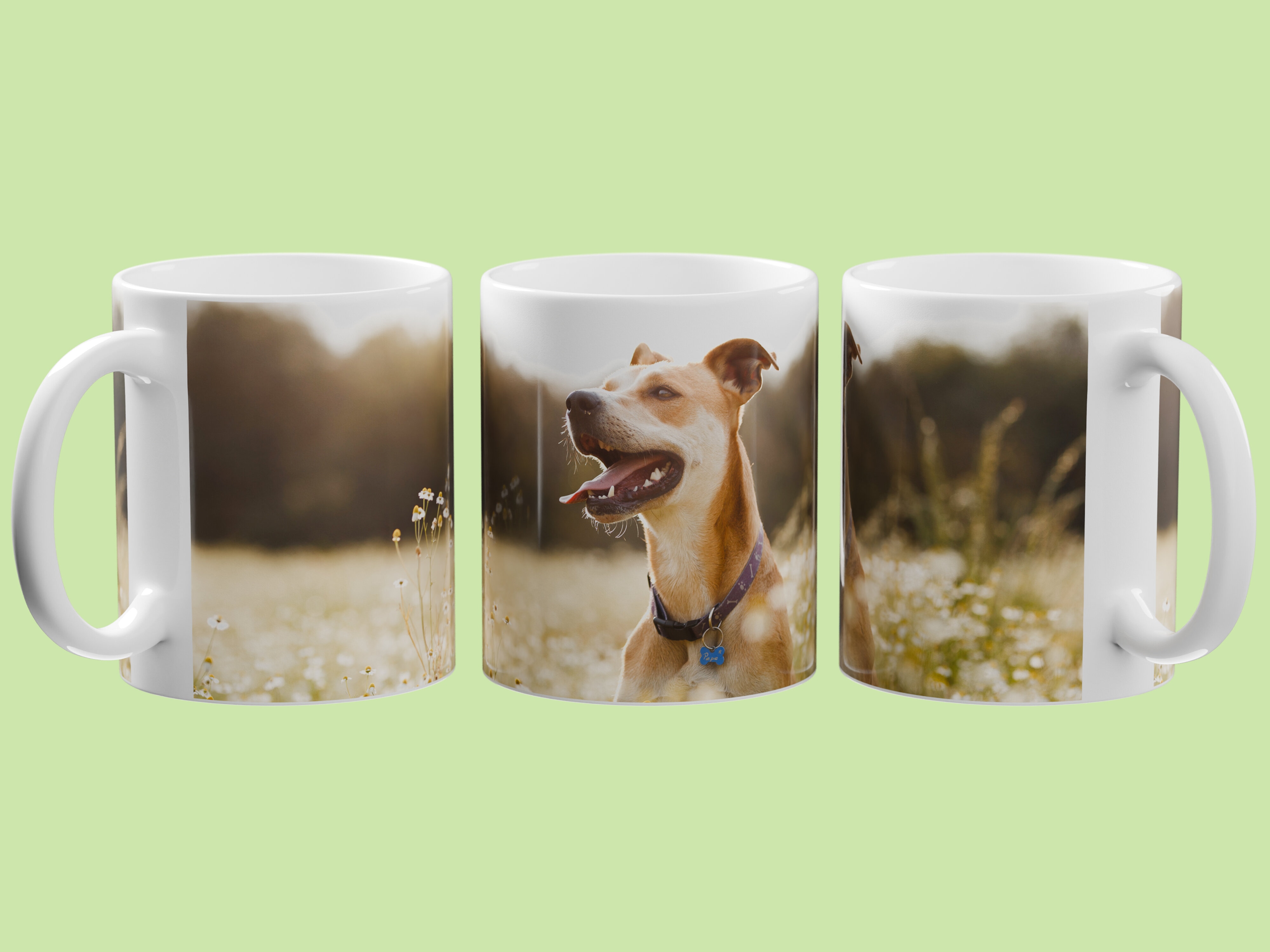 Henkilökohtainen Valokuvamuki