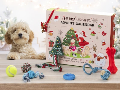 Adventskalender med Hundleksaker