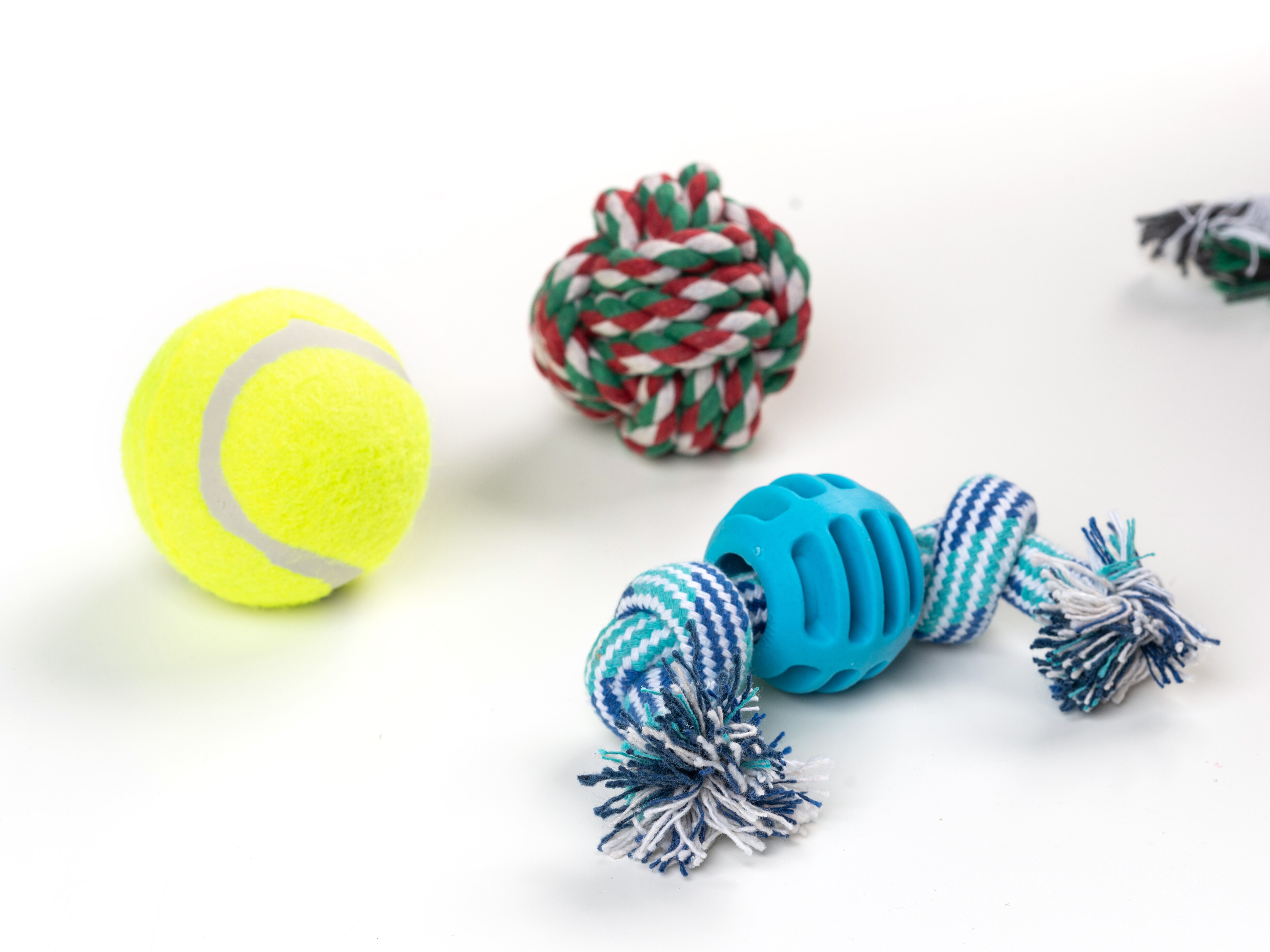 Adventskalender med Hundleksaker