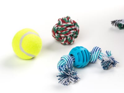 Adventskalender med Hundleksaker