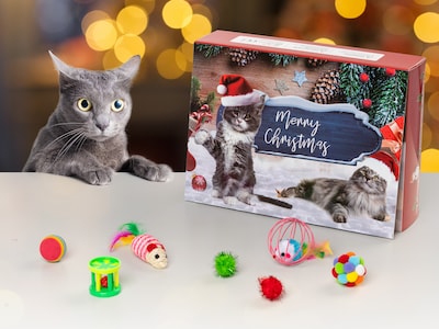 Adventskalender mit Katzenspielzeug