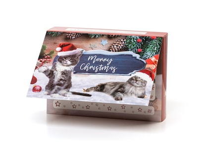 Adventskalender mit Katzenspielzeug