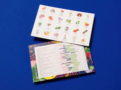 Magic Garden Seeds Adventskalender