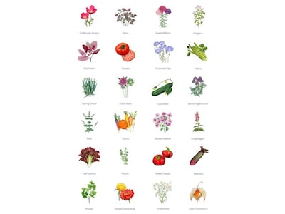 Magic Garden Seeds Adventskalender