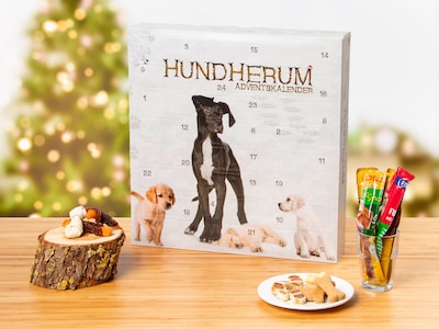 Julekalender med hundegodteri