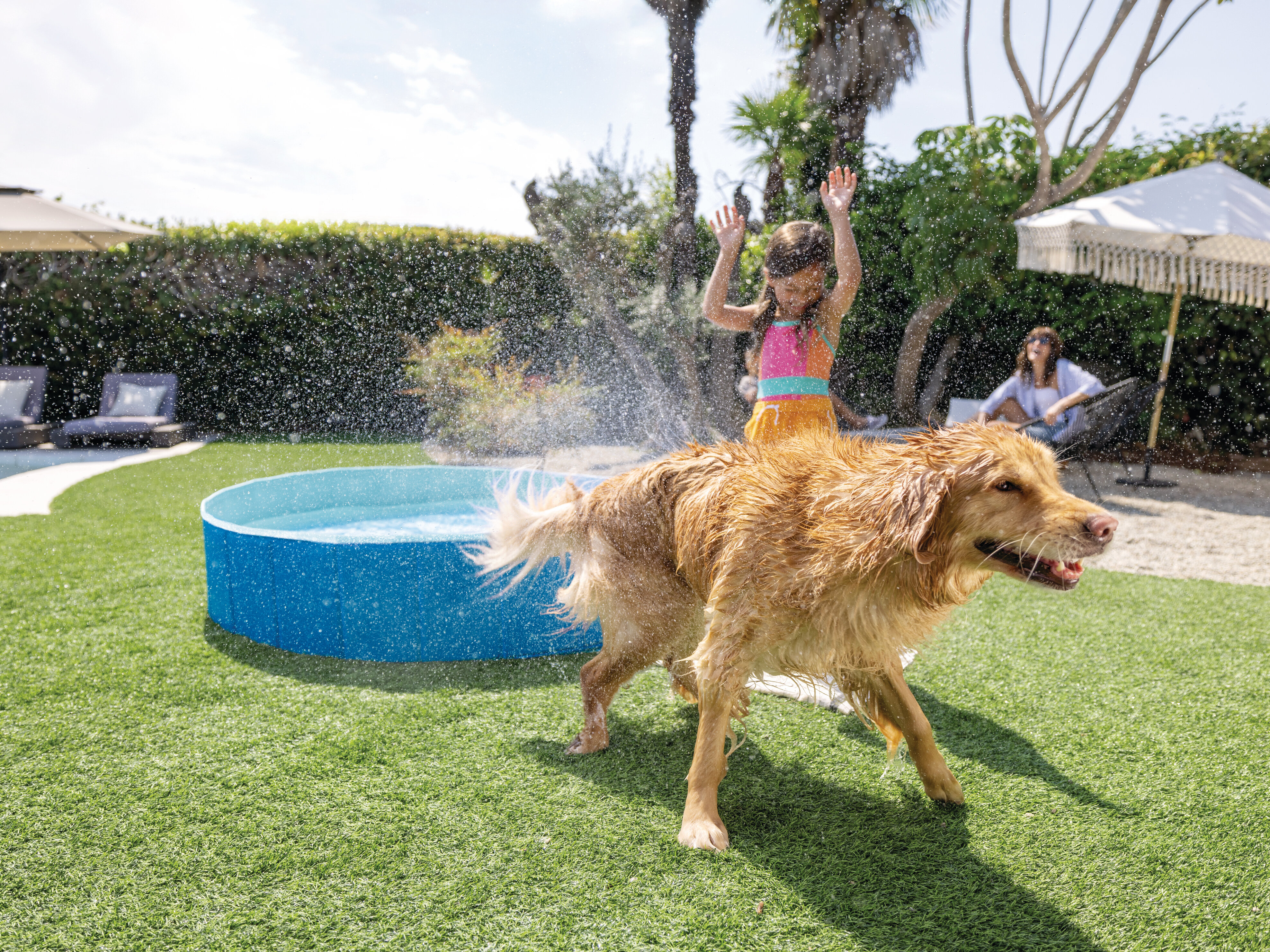 Sammenleggbart hundebasseng fra Intex